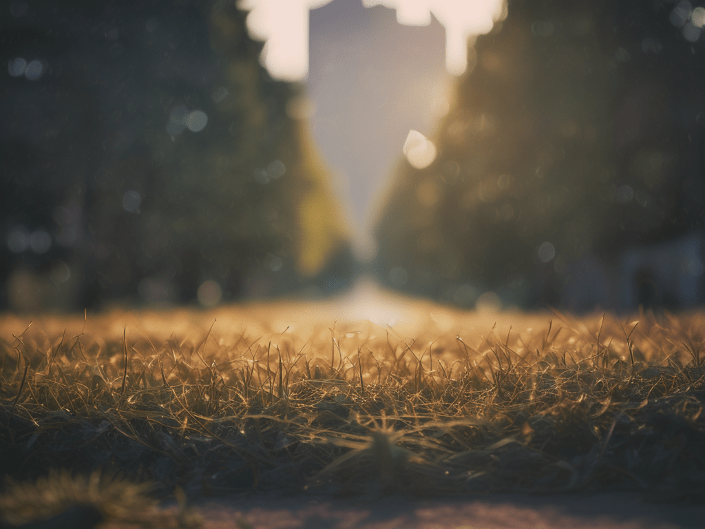 Tao Inspiration – The Path to&nbsp;Serenity