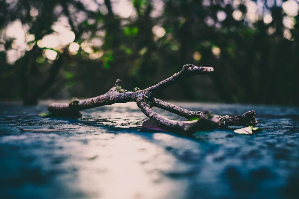 Inspiration – the truth of who you&nbsp;are