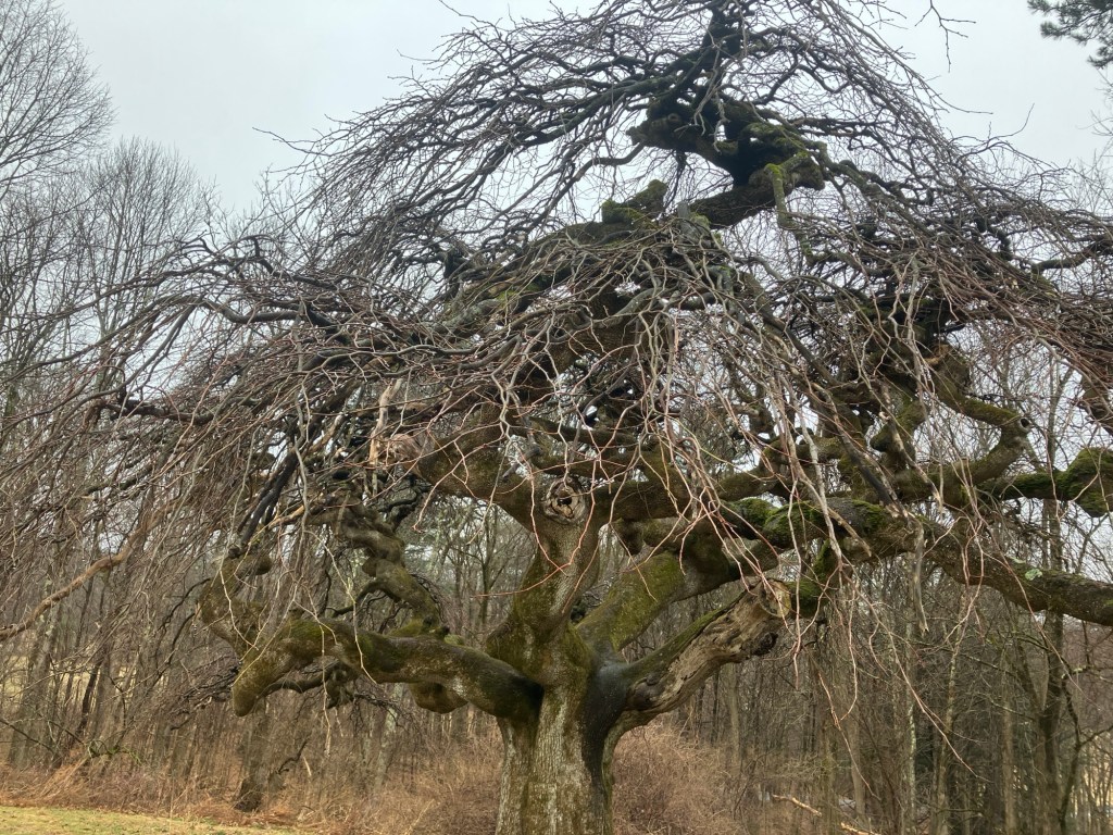 Early Spring at&nbsp;Kripalu