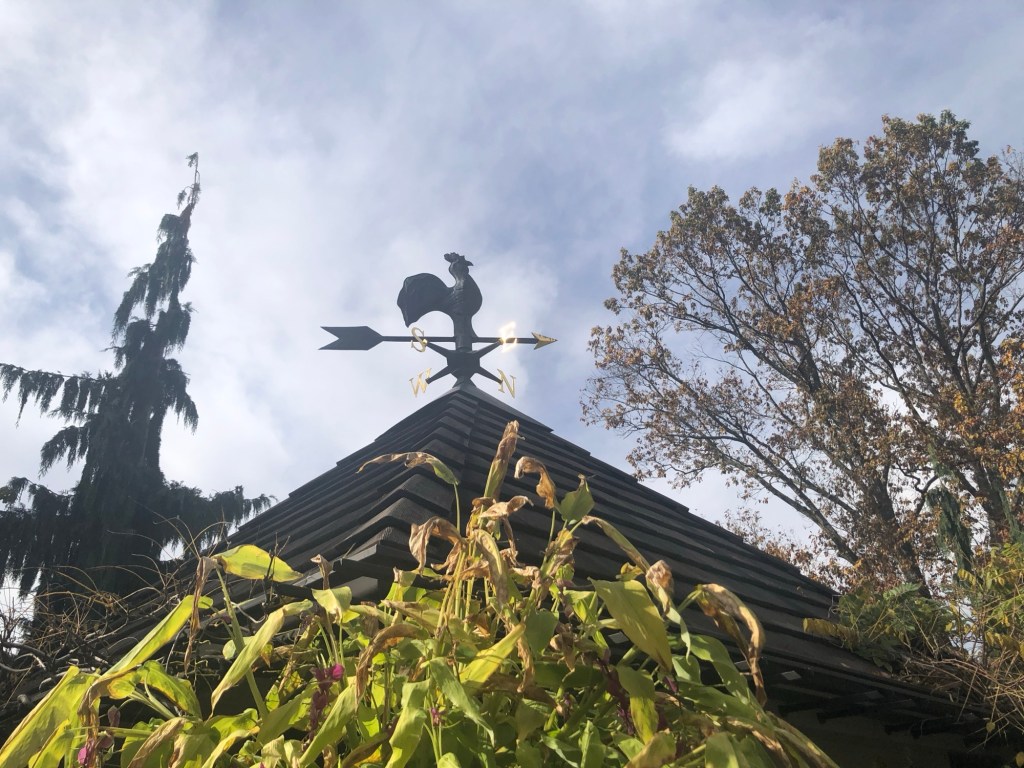 Early Spring at&nbsp;Chanticleer