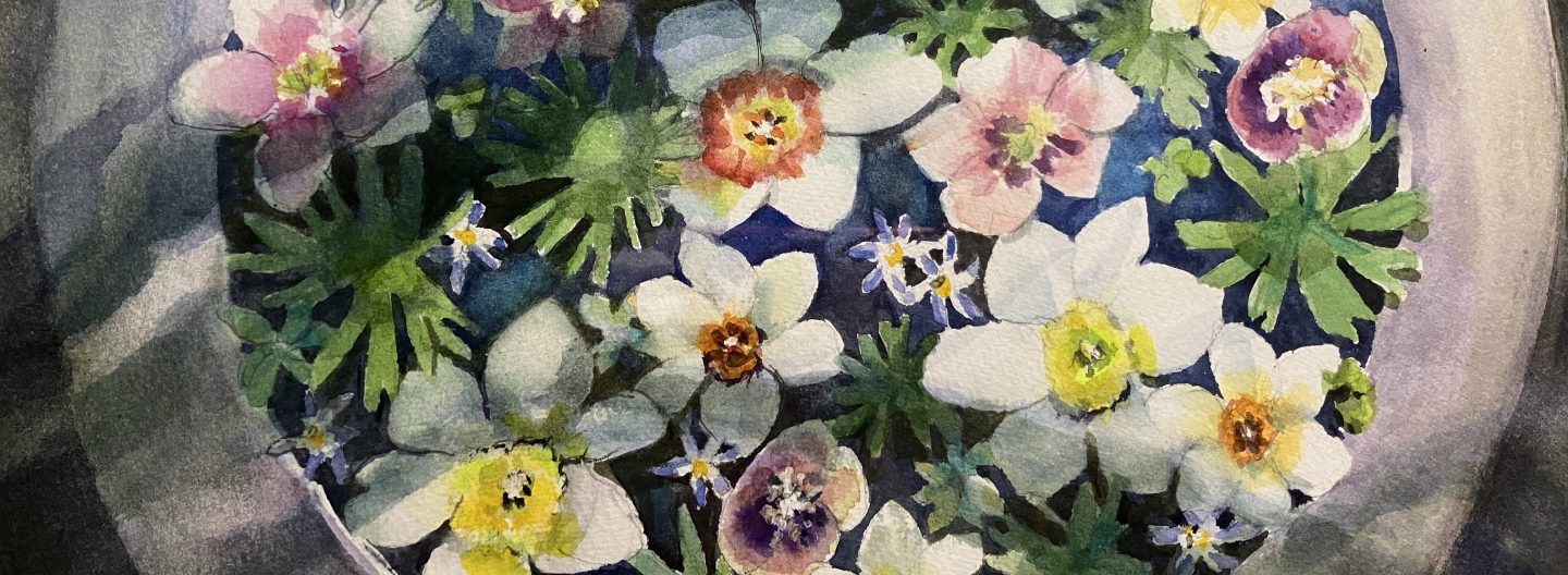 Find Your Middle Ground