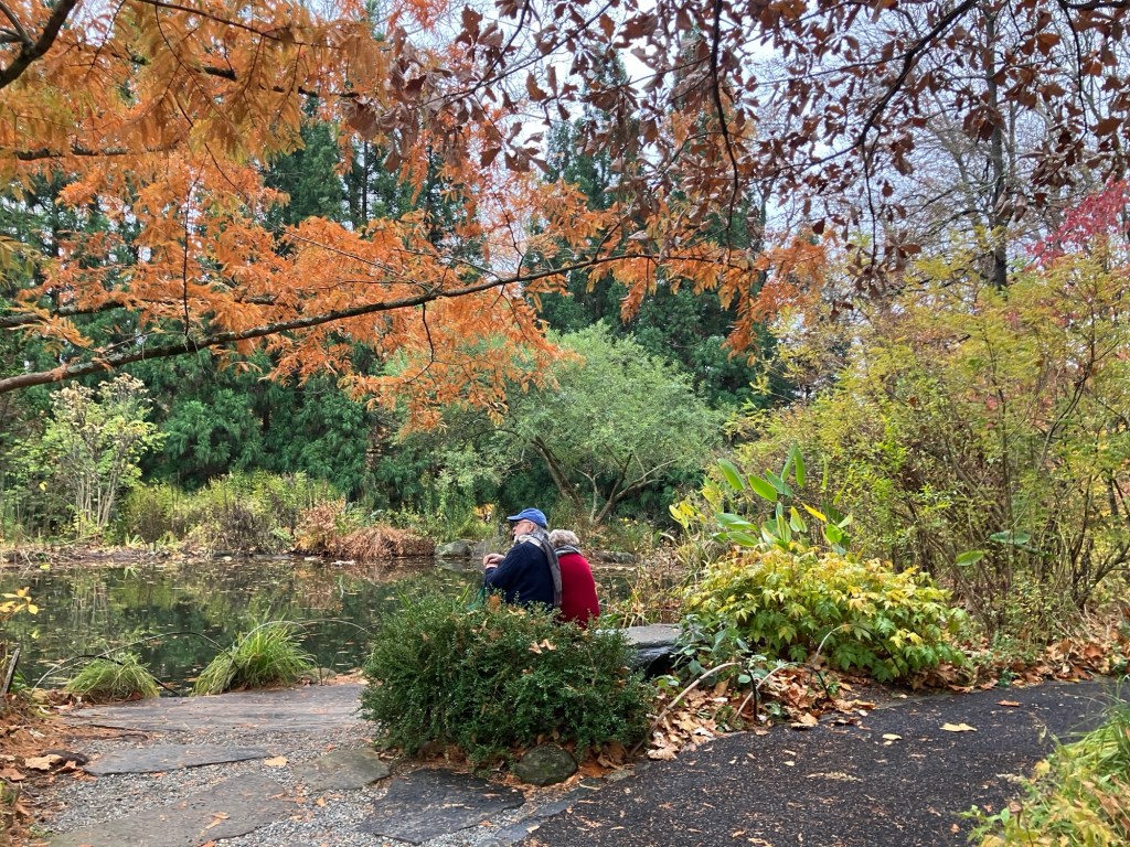 Haiku – Chanticleer&nbsp;farewell