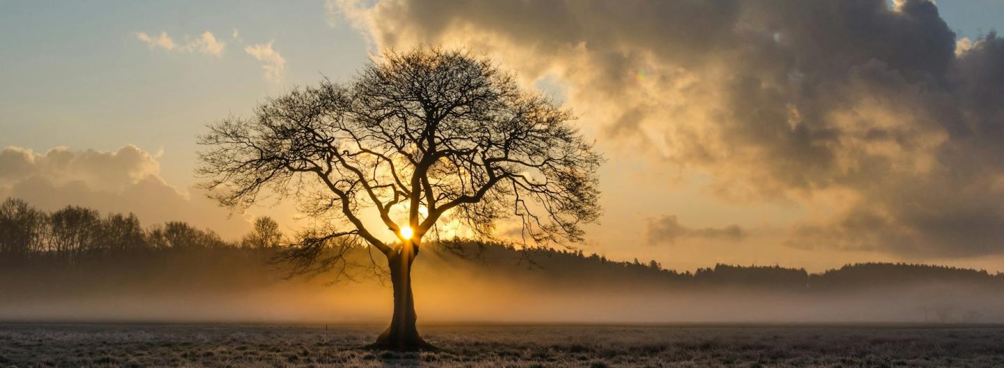 Find Your Middle Ground