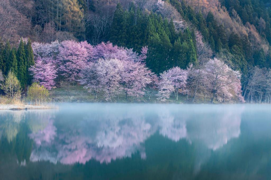 🌸 Val’s April Community News&nbsp;🌸