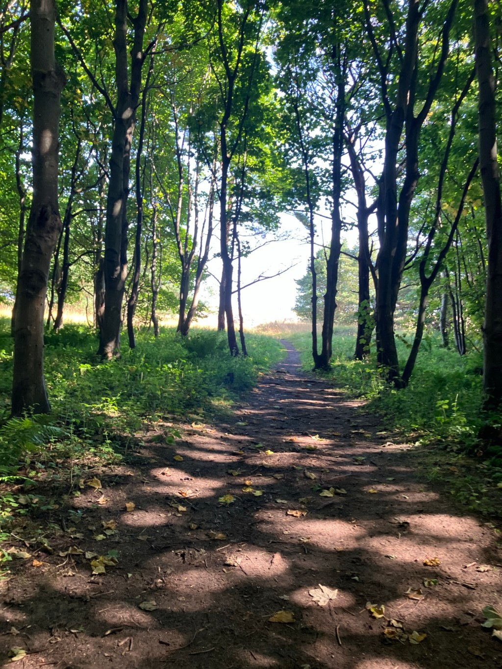 🌻 Val’s August Yoga Community&nbsp;News🌻