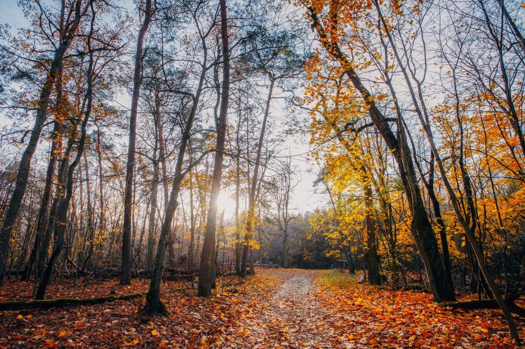 🧡 November Community News&nbsp;🧡